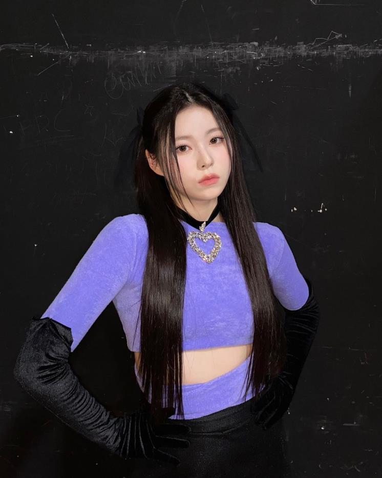 보라빛봄 이미지