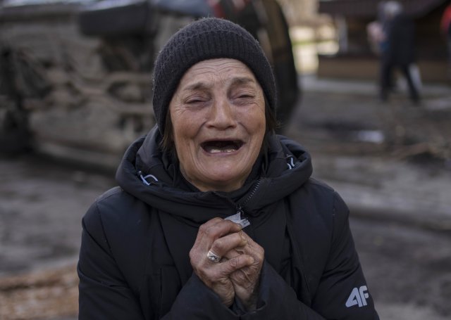 라인사진관 이미지
