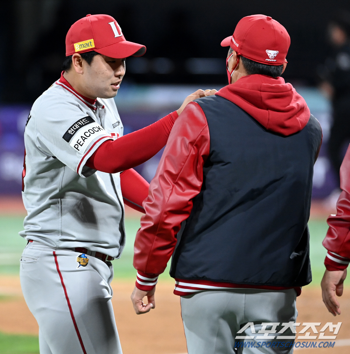 택형 이미지
