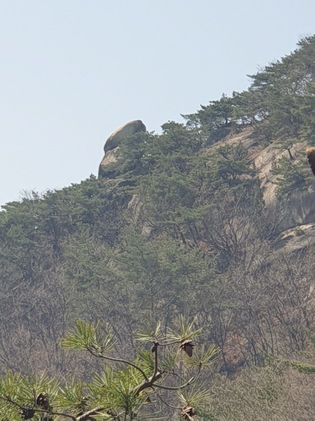 한양사진관 이미지