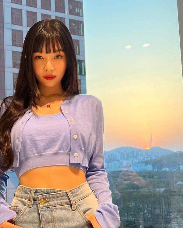 조이식물 이미지