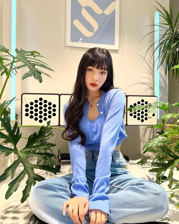 조이식물 이미지