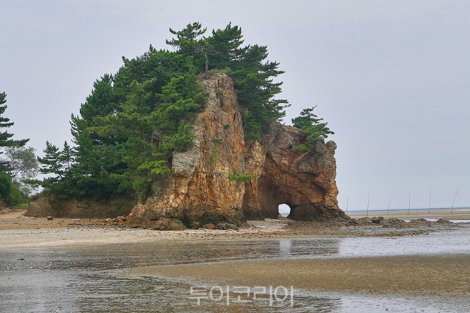 솔향기 이미지