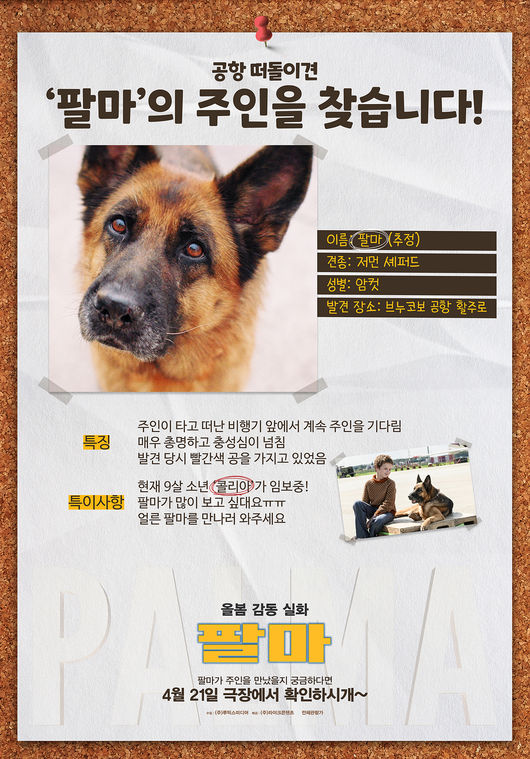 팔마 이미지