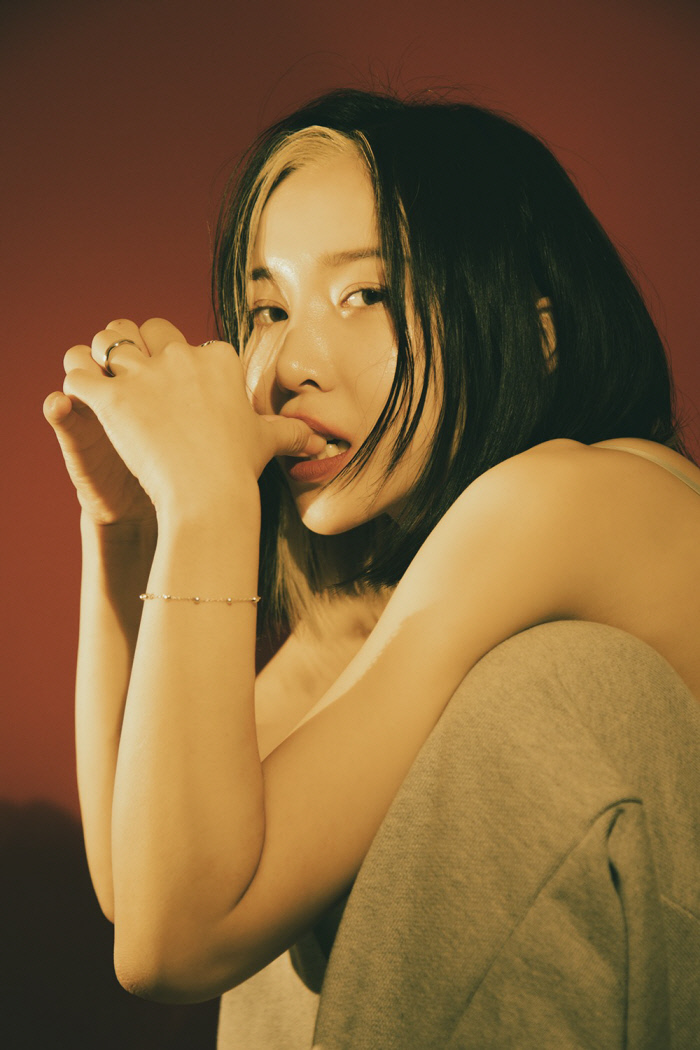 로칼 이미지