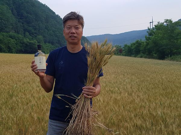 진맥 이미지