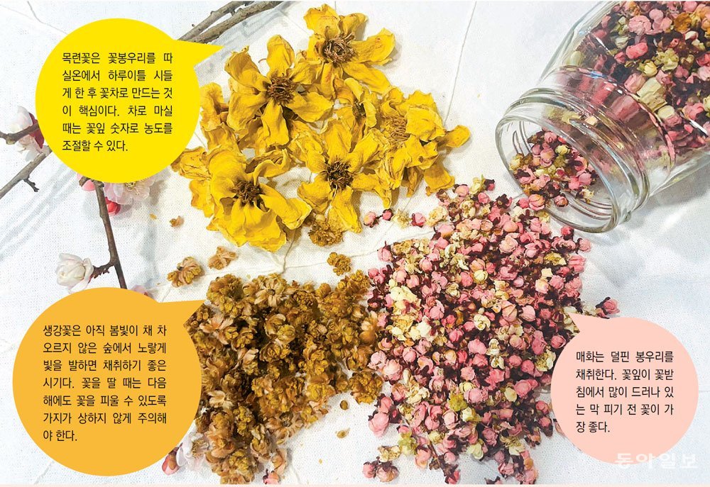 오늘의 먹거리 이미지