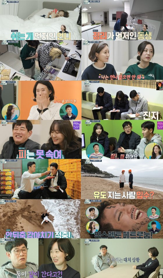 메이트 이미지