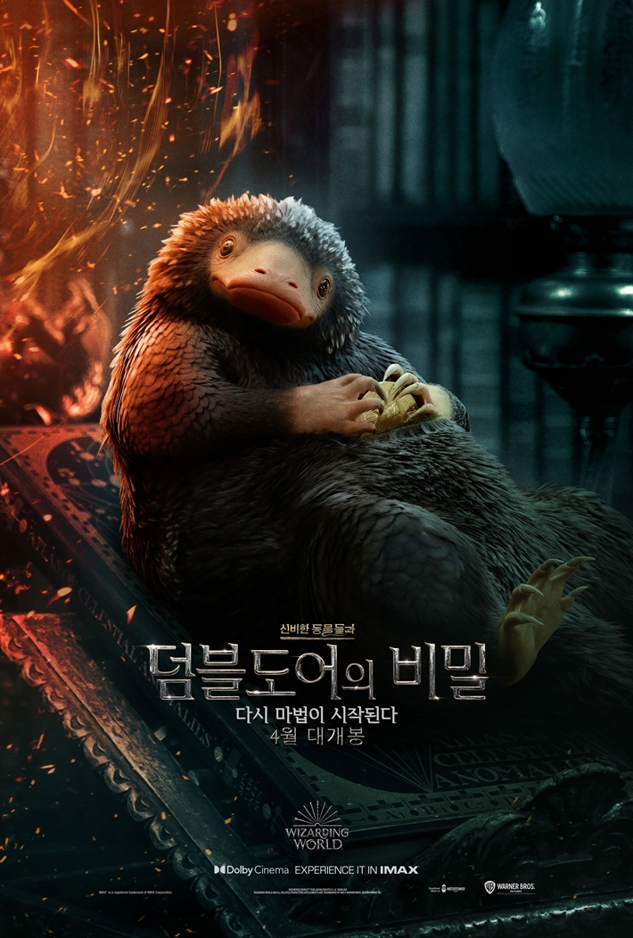 신비코 이미지