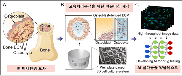 모사개발 이미지