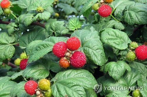 서원유통탑마트김해 이미지