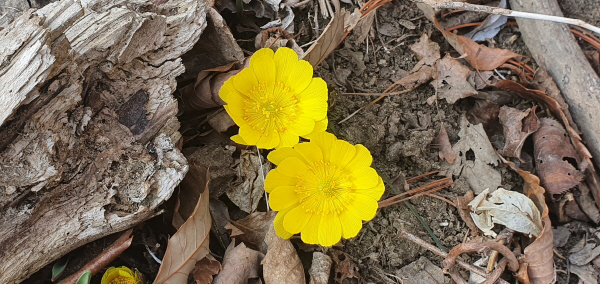 지리산내음 이미지