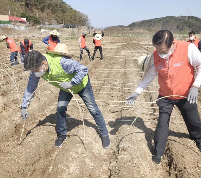 한국체육산업개발주 이미지