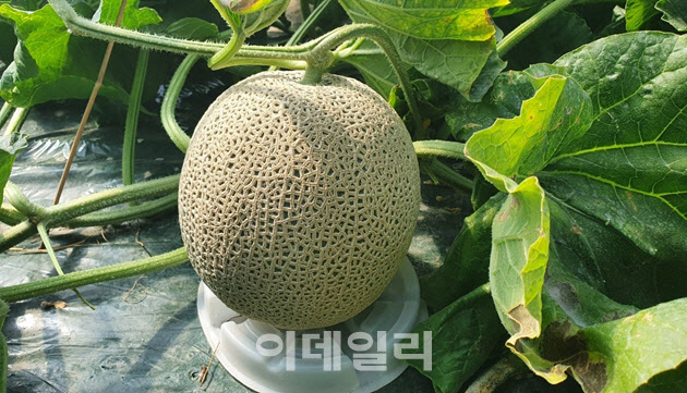 케이쓰리 이미지