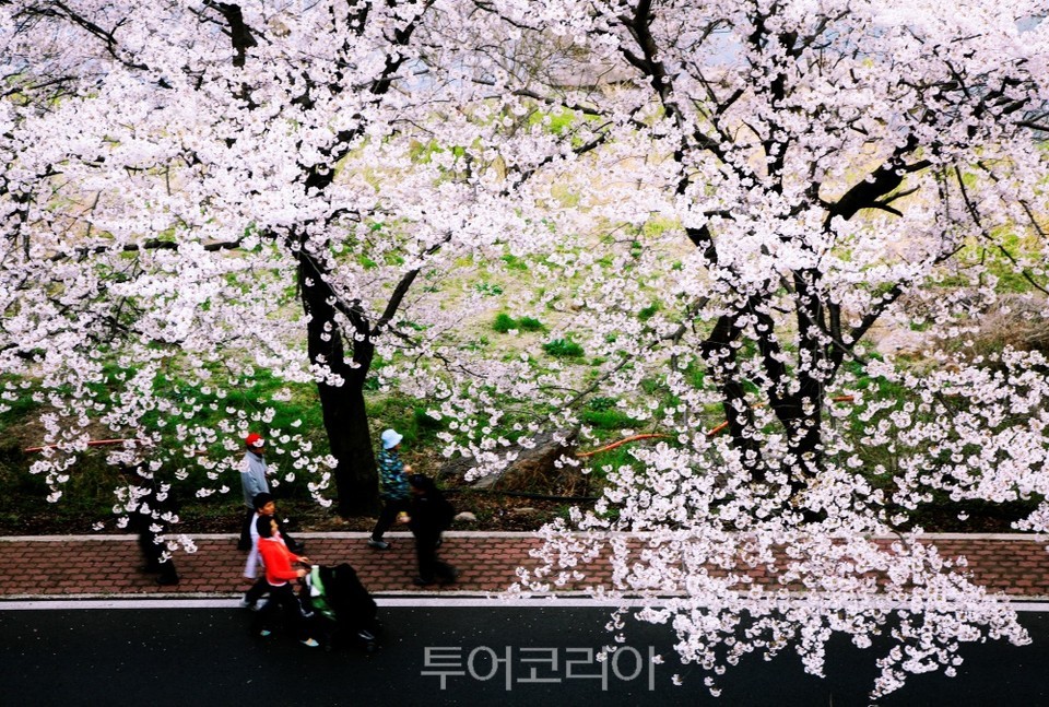 해봄장터 이미지