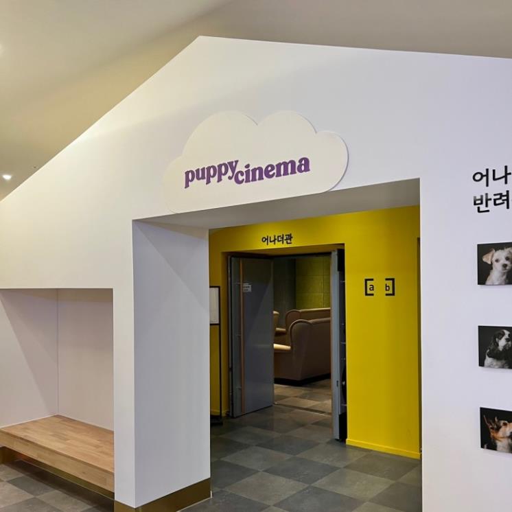 영통시네마 이미지