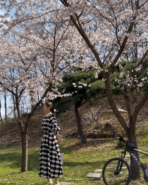 This luxurious one-piece look was presented.On the 17th, Seo Haiyan said, It is a weekend where the wind blows and petals are scattered. I turned around under the cherry tree in the company last week and put flowers on my head.In the open photo, West White is dressed in a long dress with black and white color and geometric print.West white wore a long dress that came down to the ankle, and wore a hair belt on the head tied up with a hair shoe to create a sweet atmosphere.In the video, West White is wearing the same costume and enjoying the spring weather while swirling under the full bloom of cherry blossom trees.West white is an elegant dress with a belted waist line, and it is laughing brightly and enjoying flower play.The dress that the West White wears in the photos and images2021 F/W collection.Optical print patterns, small collars, pleats detail, front buttons, and long dress with a flat sleeve. The price is 6.3 million won.While West White highlighted her waist with a belt of material such as a dress, the runway model matched a brown leather corset with a long ankle-length dress.The model also matches the mini belt bag, and a heart-shaped yellow crystal decoration mini bag in one hand, creating a unique atmosphere.Meanwhile, Seo Ha-yan was born in 1991 and is 32 years old in Korea this year.West Haiyan had two sons with 18-year-old Im Chang-jung, who had three sons with his ex-wife, and marriage in 2017.West White has worked as an airline crew, yoga instructor, and shopping mall model, and is currently working on Im Chang-jungs entertainment business.Im Chang-jung The West White couple has been attracting much attention by appearing on SBS entertainment program Same Bed, Different Dreams 22 - You are My Destiny.