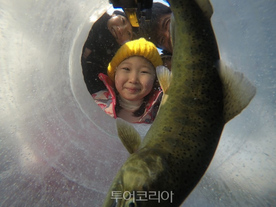 화천산천어가공 이미지