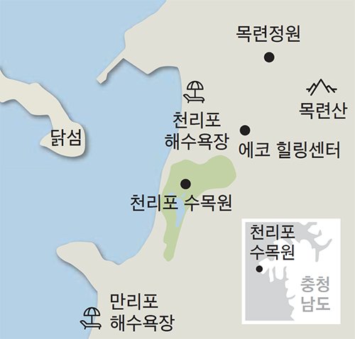 보물천국 이미지