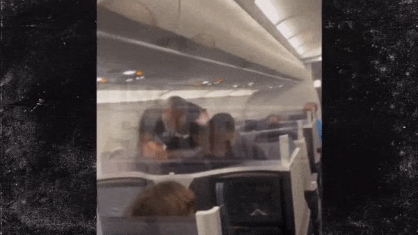 '핵주먹' 타이슨이 비행기 뒷자리 승객을 폭행하는 모습. (영상=TMZ Sports)