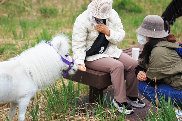 순수테라피 이미지