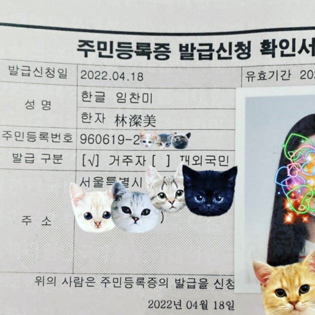 찬미 이미지