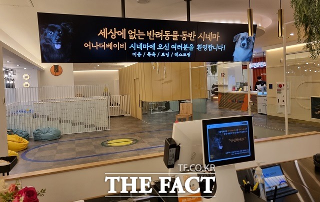 영통시네마 이미지