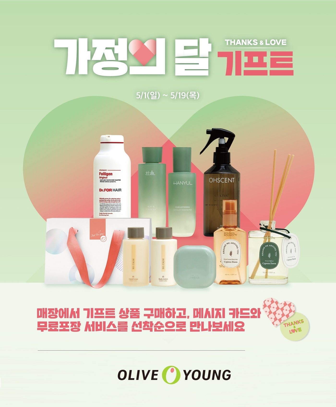 올리브영대전 이미지
