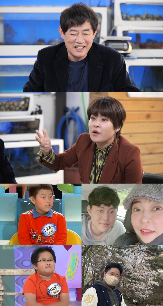 에스에프투어 이미지