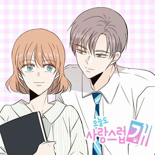 오늘도 이미지