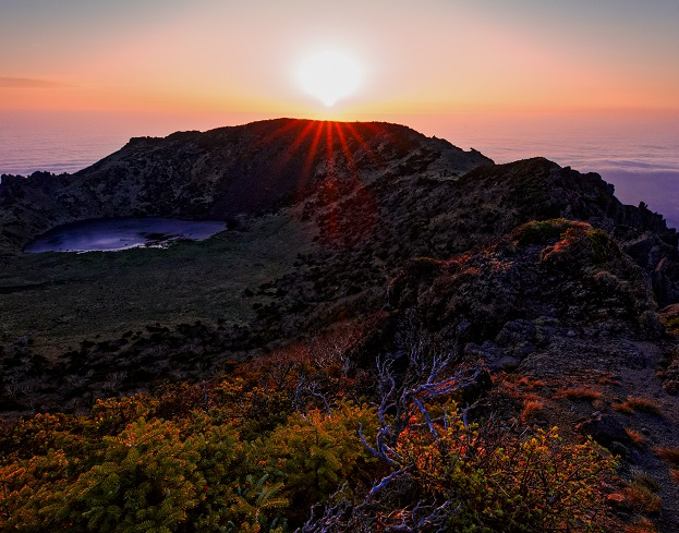 한라산도 이미지