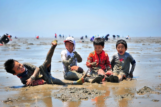 고창바지락칼국수 이미지