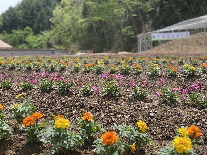 지리산담은농원 이미지