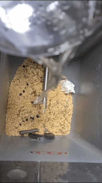 쿠쿠 미생물 음식물쓰레기 처리기 미생물 만드는 모습 © 뉴스1 조현기 기자