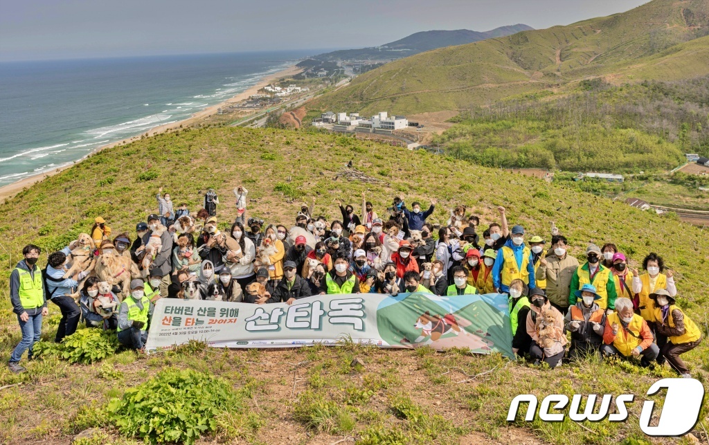 동물보호협회 동행 이미지
