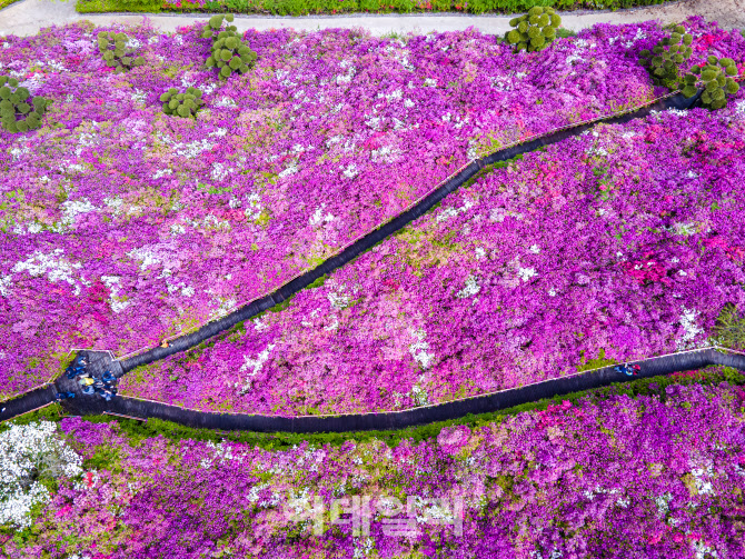 꽃동산화원 이미지
