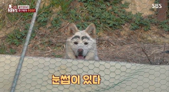 짱구농장 이미지