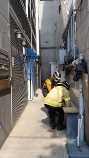 아기새 구조 영상 [송파소방서 제공]