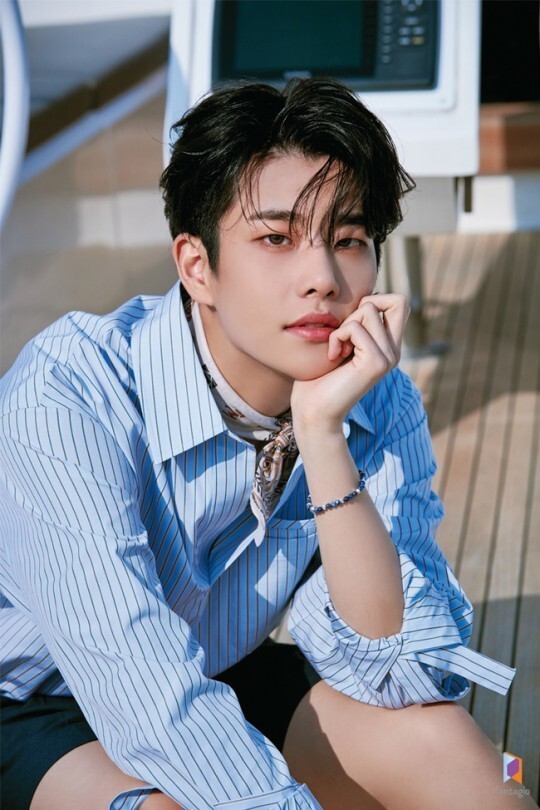 MJ 이미지