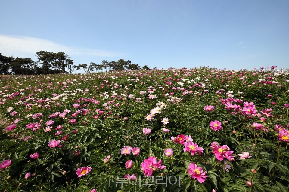 자연가 이미지