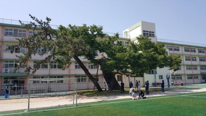 수목관리 이미지