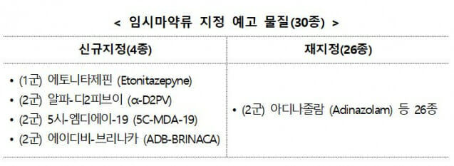 디니타 이미지