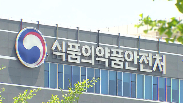 디니타 이미지