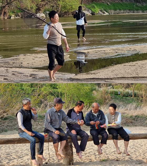 낭만 물고기 이미지