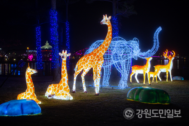 봄빛조명 이미지