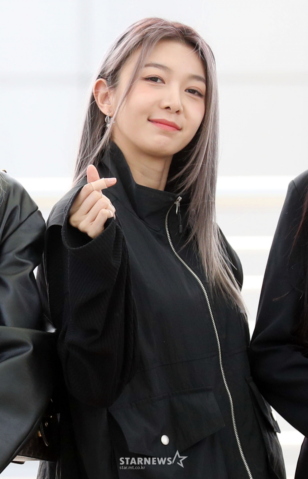 다미가 이미지
