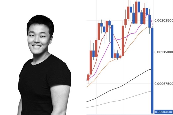 루나네트워크 이미지