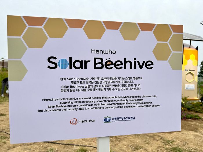 비하이브 이미지