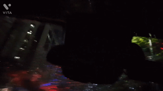 보배드림 갈무리