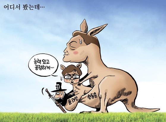 만평 이미지